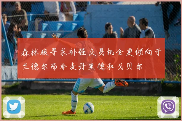 森林狼寻求补强交易机会更倾向于兰德尔而非麦丹里德和戈贝尔