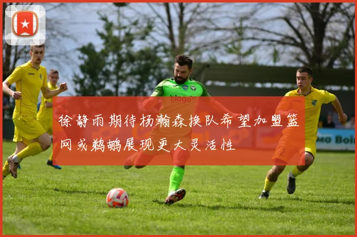 徐静雨期待杨瀚森换队希望加盟篮网或鹈鹕展现更大灵活性