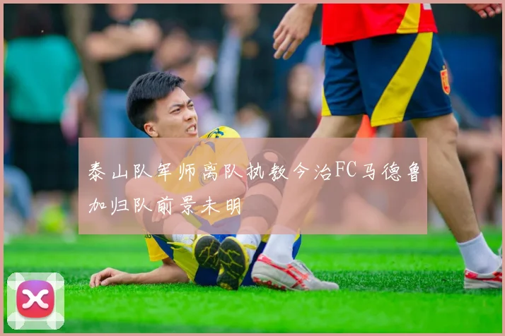泰山队军师离队执教今治FC马德鲁加归队前景未明